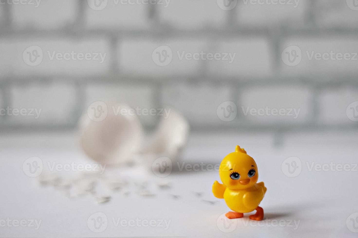 cáscara de huevo blanco de un huevo de gallina roto con fragmentos y un pollo eclosionado aislado. Pascua de Resurrección foto