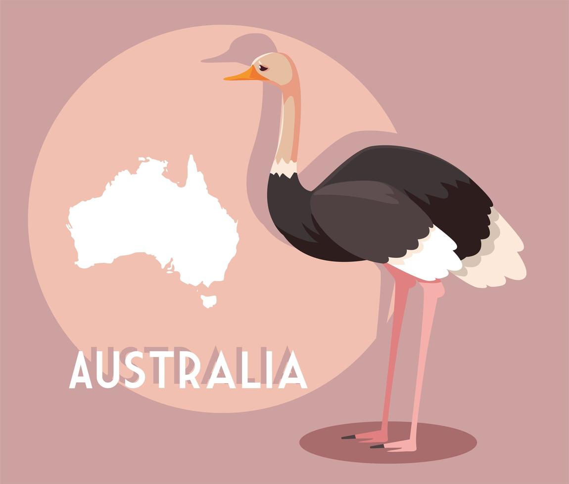 Avestruz con mapa de Australia en el fondo vector