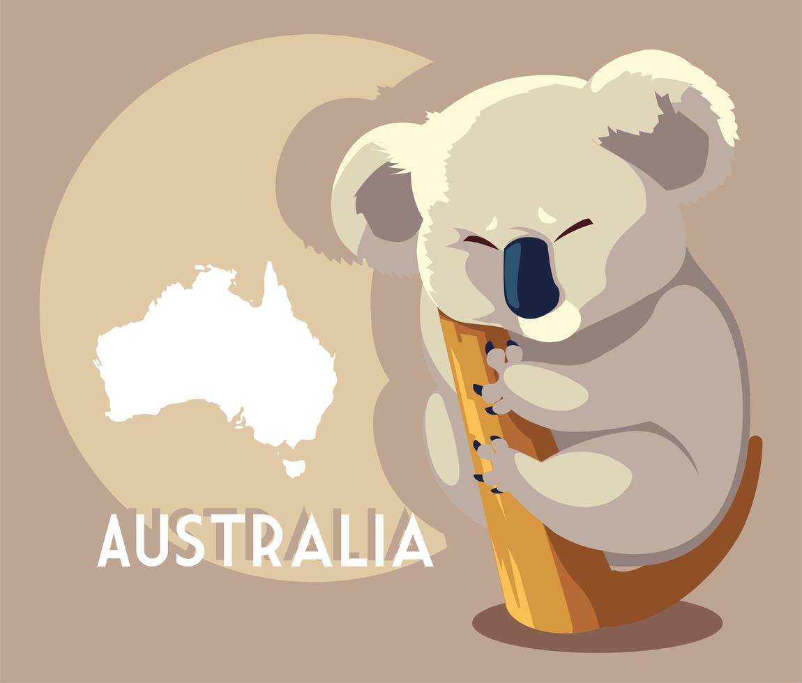lindo koala con mapa de australia en el fondo vector