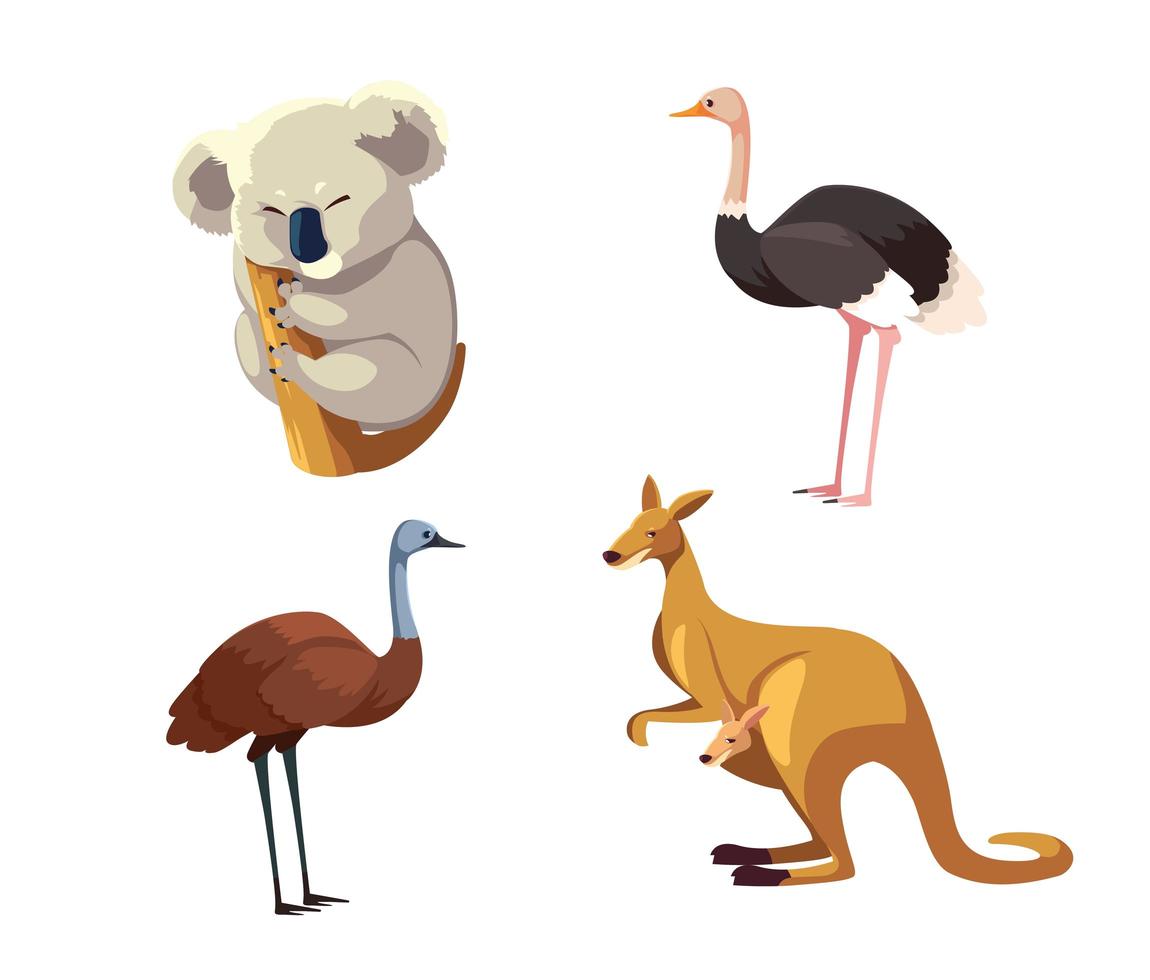 Conjunto de animales salvajes de Australia sobre fondo blanco. vector