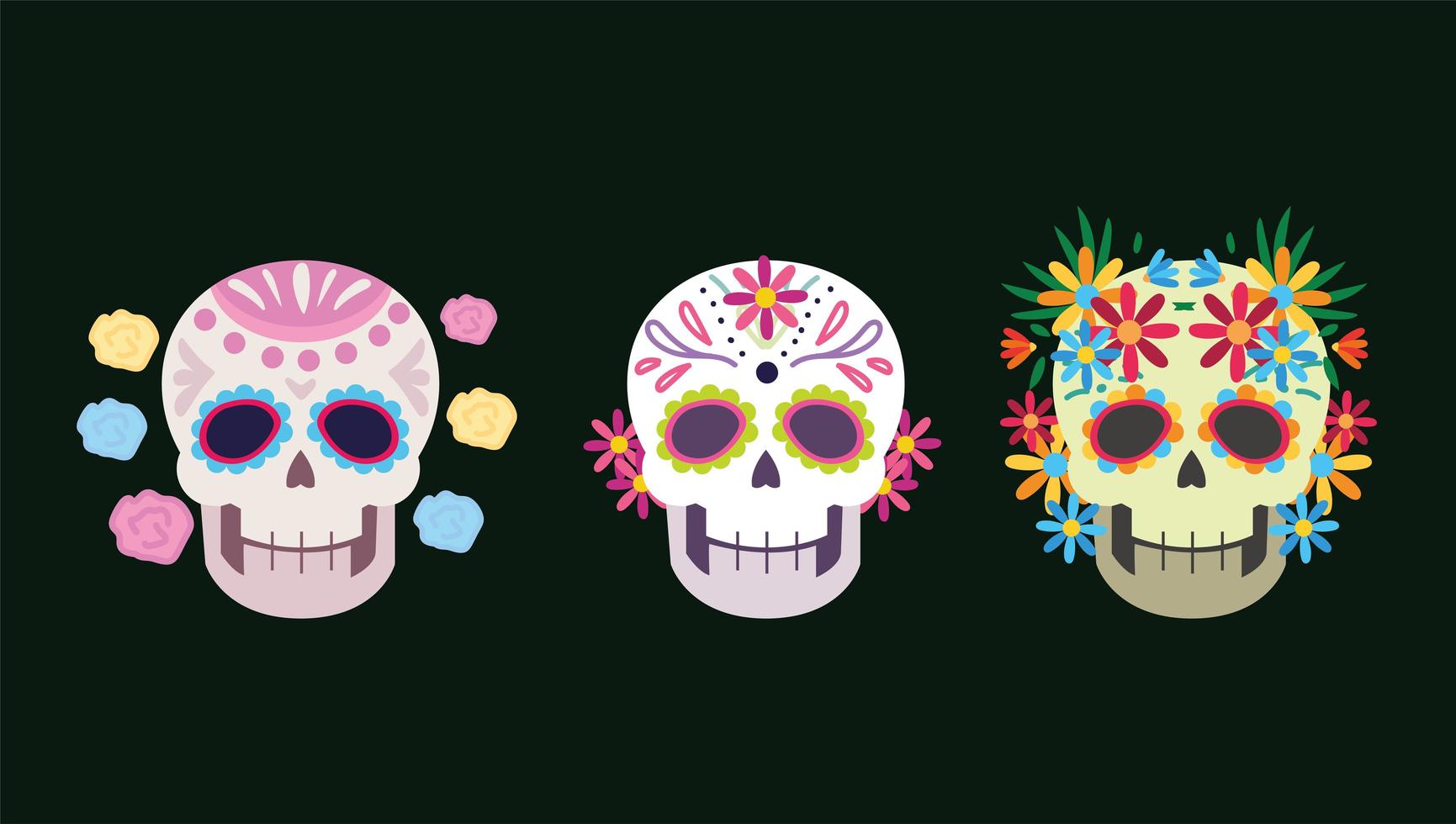 dia de los muertos, calaveras florales flores decoracion, celebracion mexicana vector