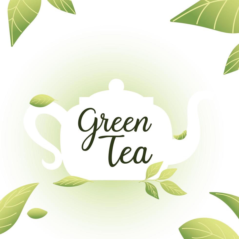 té verde con olla y hojas de diseño vectorial vector