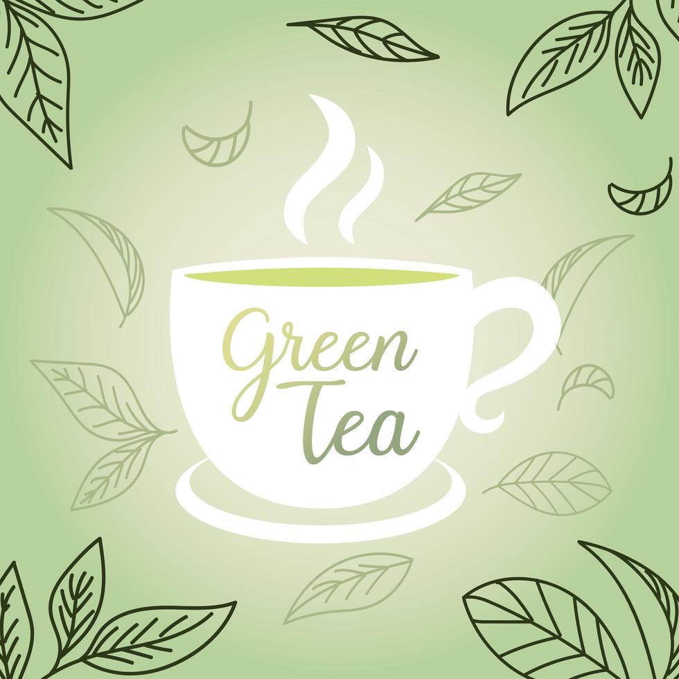 té verde con taza y hojas de diseño vectorial vector