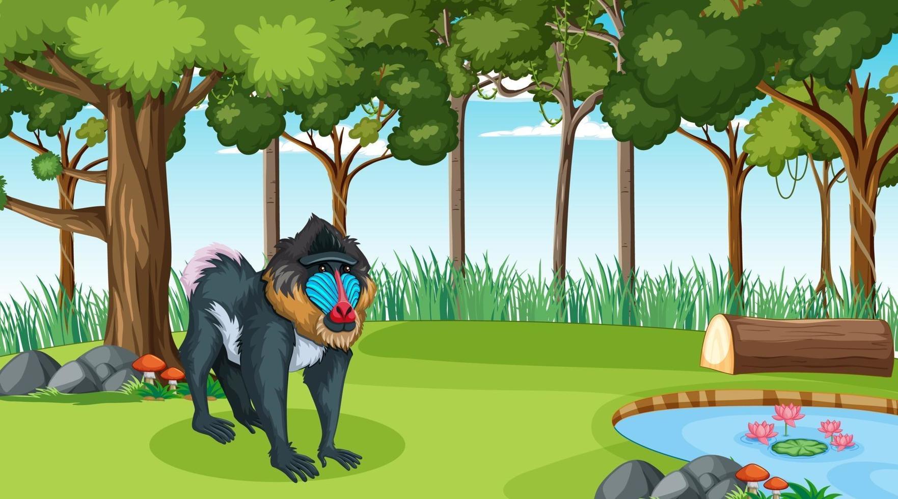 A mandrill in forest at daytime scene with many trees vector