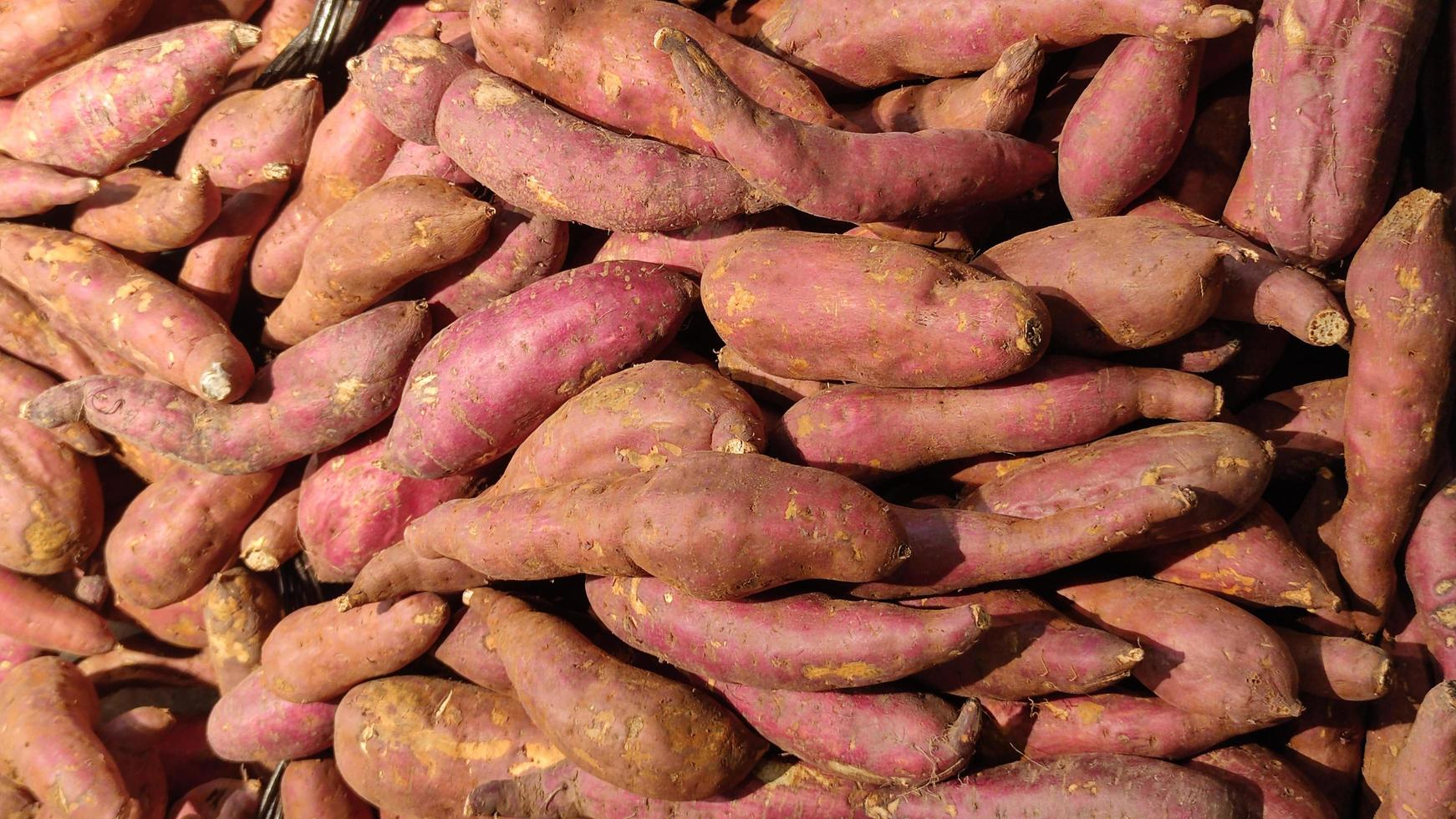 Sweet Potato Stock Photos, Images and Backgrounds for Free Download