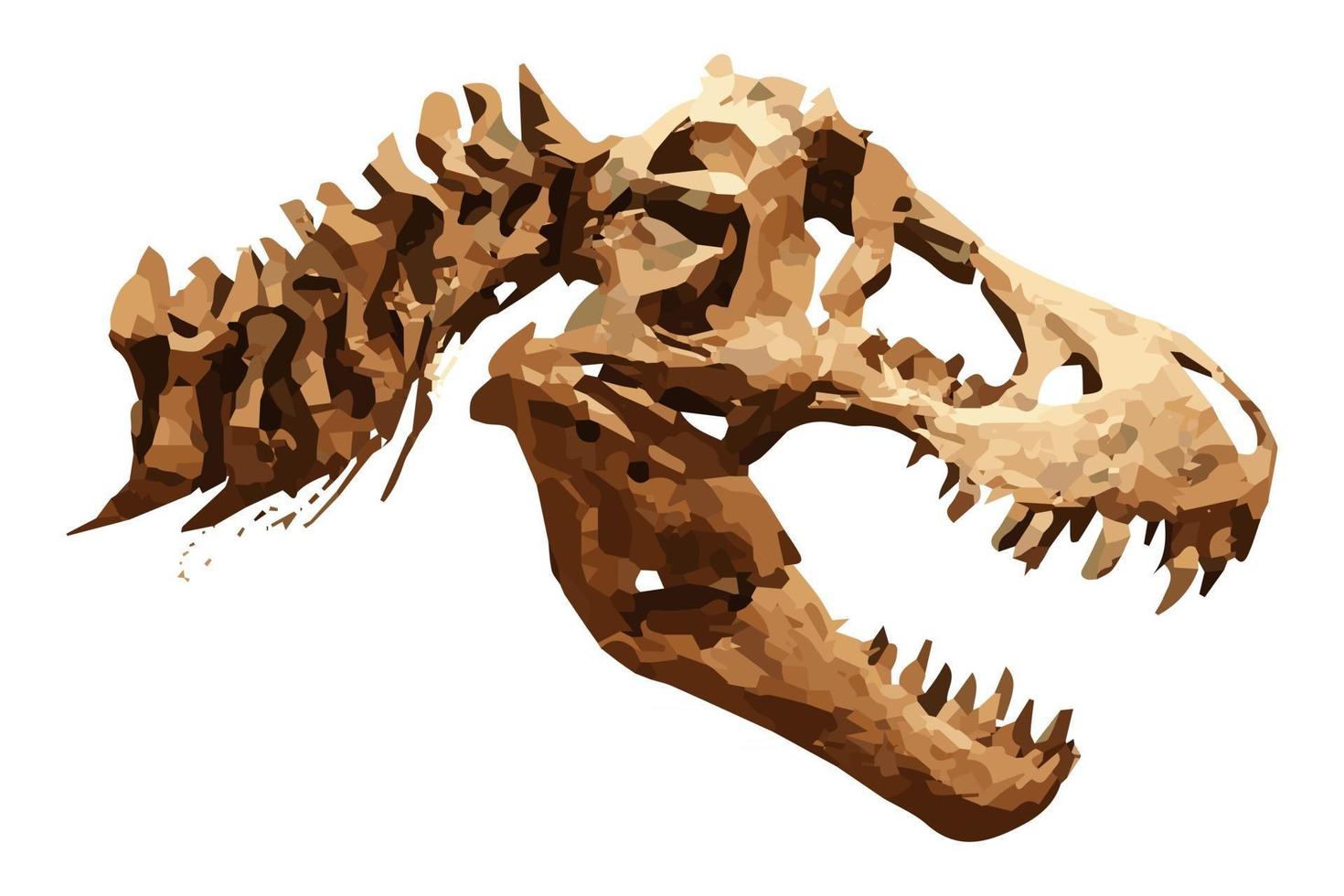 Esqueleto de vector de tiranosaurio rex t-rex sobre fondo aislado. cráneo y cuello.