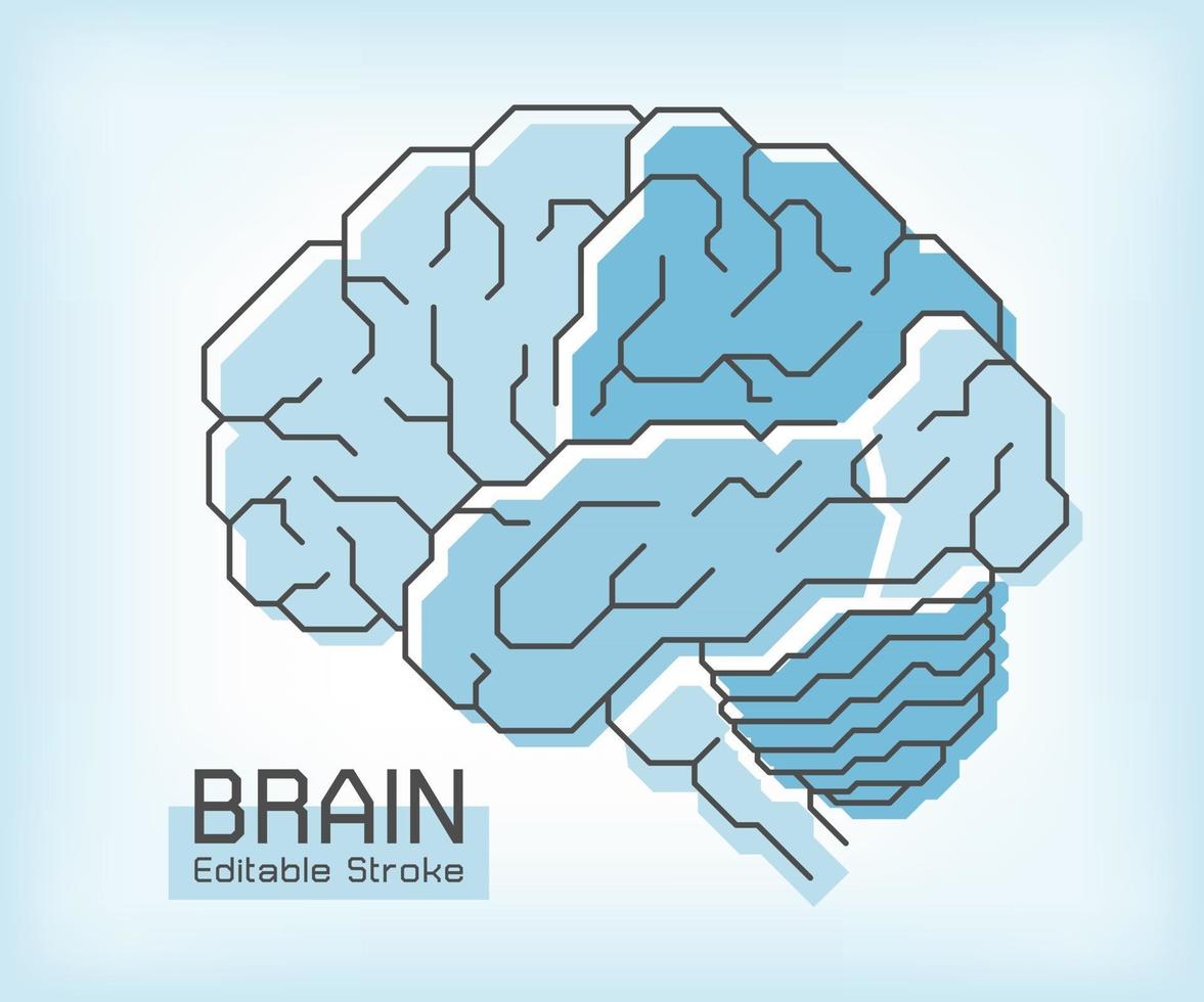 Brain anatomy and outline stroke. Frontal Parietal Temporal Occipital lobe Cerebellum and Brainstem. Medical concept. vector