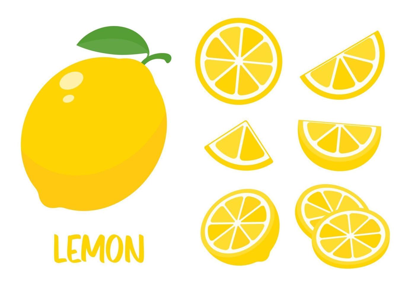 Sour yellow lemons. High vitamin C lemons are cut into slices for summer lemonade. vector