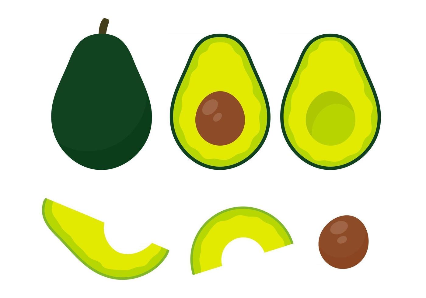 Avocado vector. avocado fruit cut into pieces There is a round seed inside. for health care vector