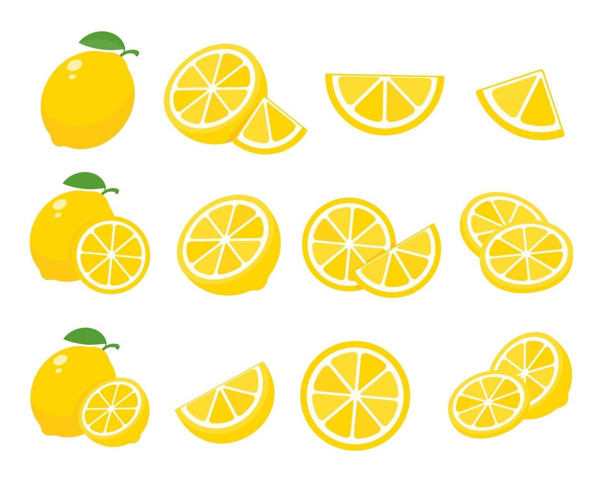 Sour yellow lemons. High vitamin C lemons are cut into slices for summer lemonade. vector