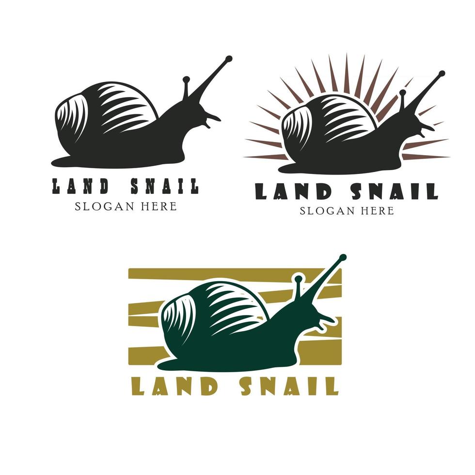 Snail land illustration vector