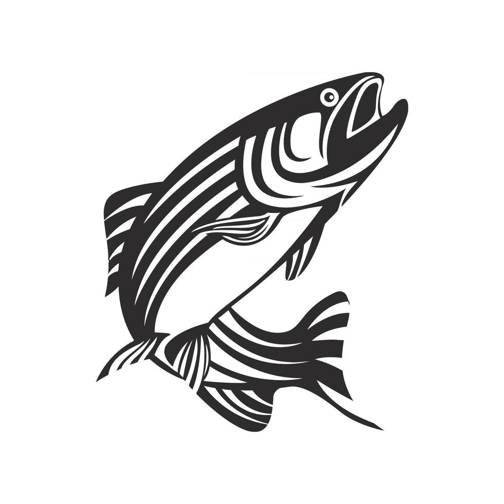 Salmon fish illustration vector