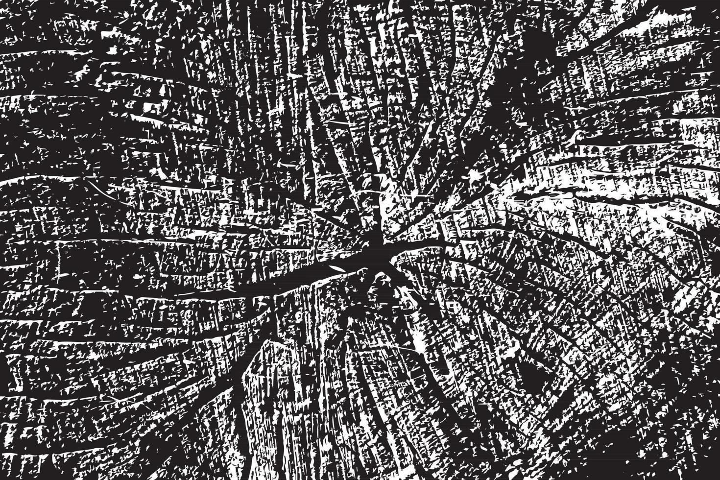 Black white wood texture vector