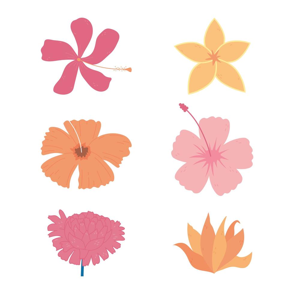 flowers decoration flourish nature floral design icons vector