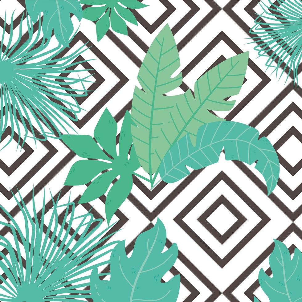 tropical palm leaves floral on the black white geometric background vector