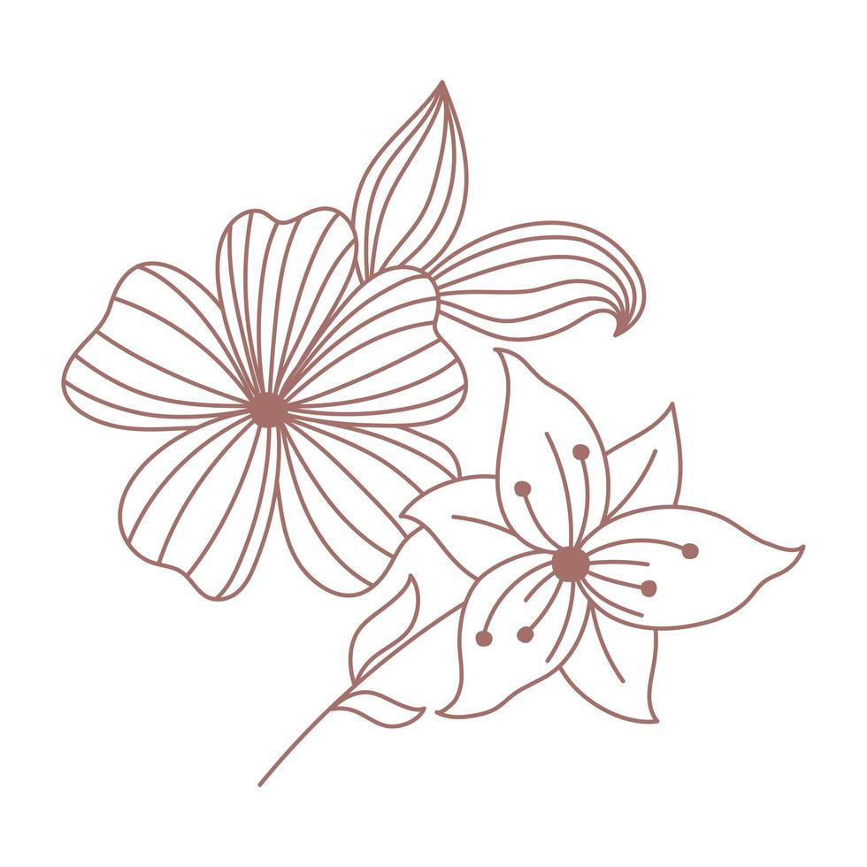 flowers decoration boho hand drawn style vector