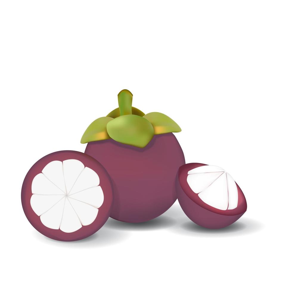 Mangosteen Healthy Organic Fresh Fruit Summer Isolated Vector Illustration