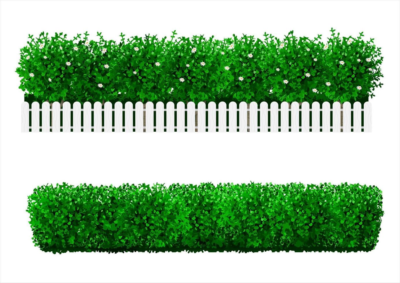 bush hedge set vector