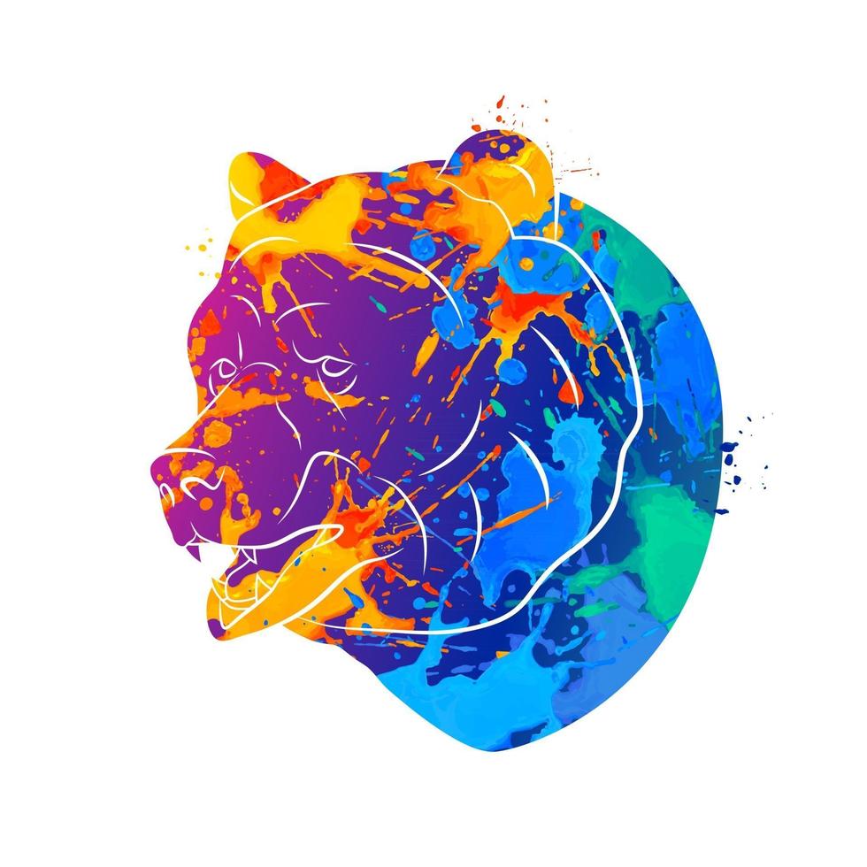 Abstract bear from a splash of watercolors. Vector illustration of paints.