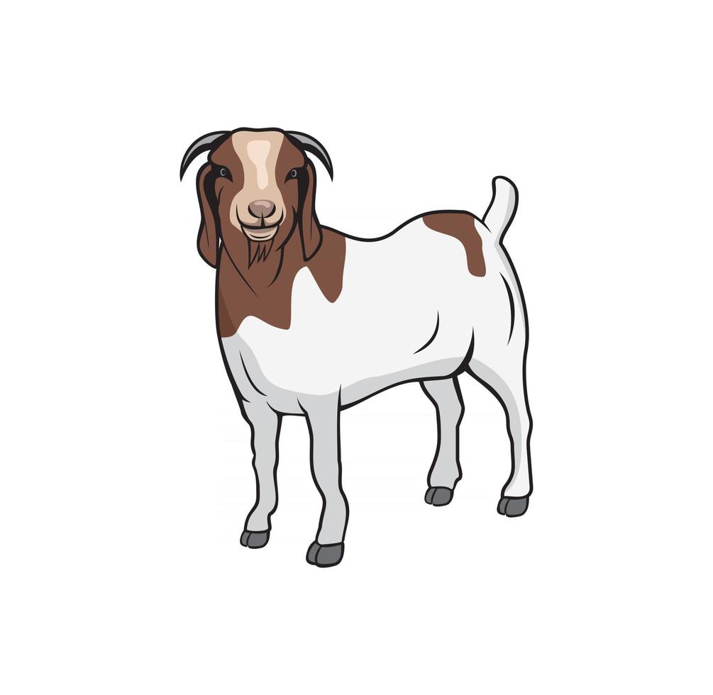 Boer goat design illustration , suitable for your design needs, T-shirt, logo, illustration, animation, etc. vector