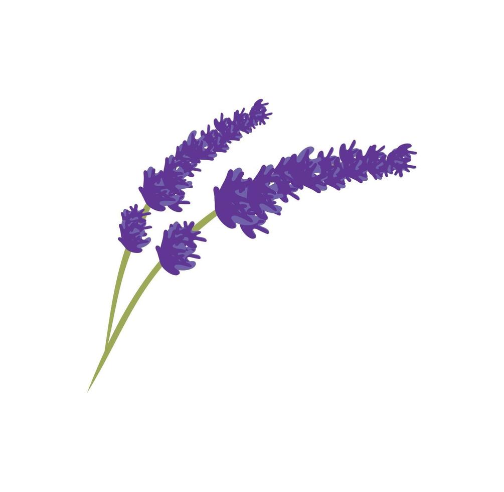 Lavender flower design illustration vector eps format , suitable for your design needs, logo, illustration, animation, etc.