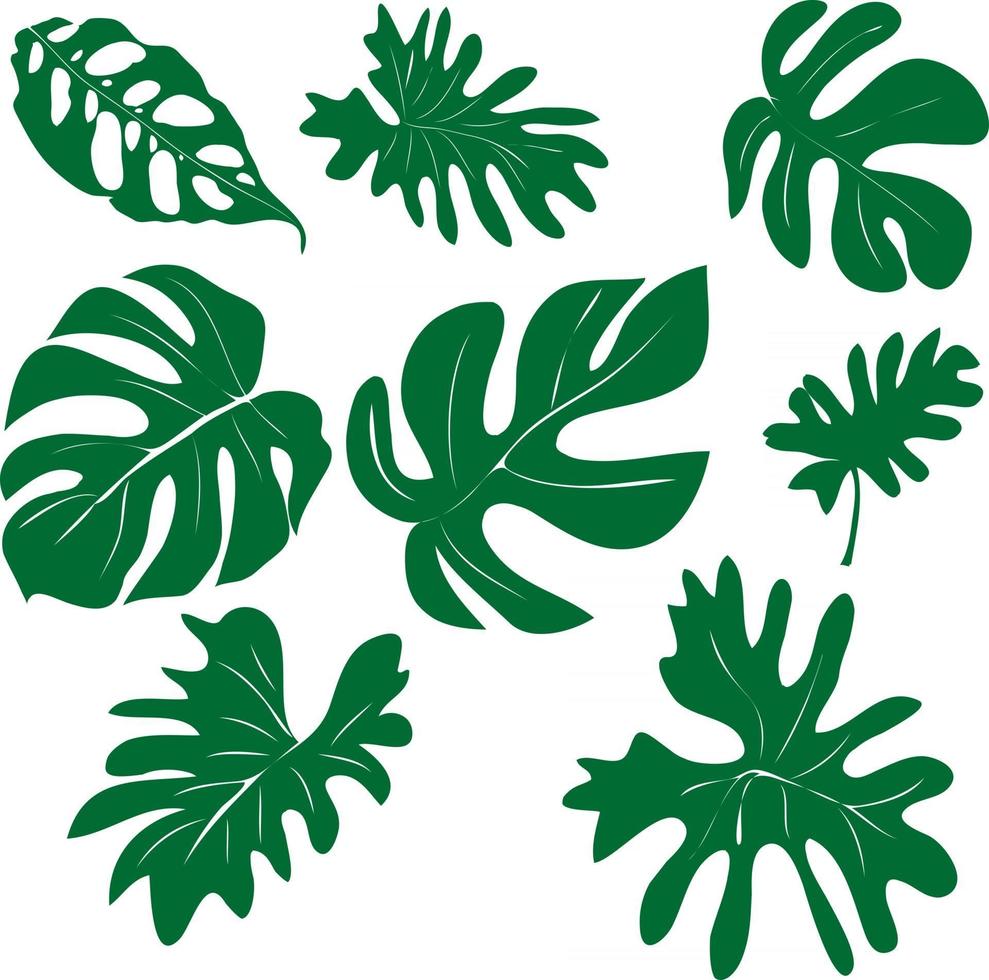 Vector set of hand drawn of exotic green leaves