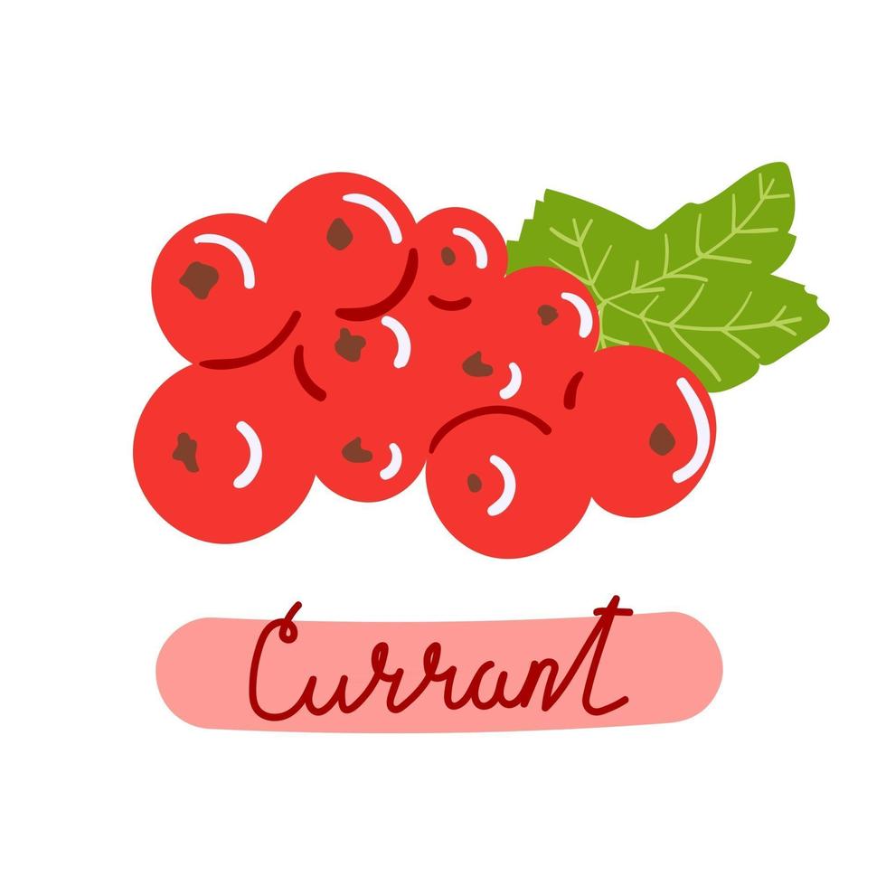 Hand drawn red currant. Berries concept. Flat illustration. vector