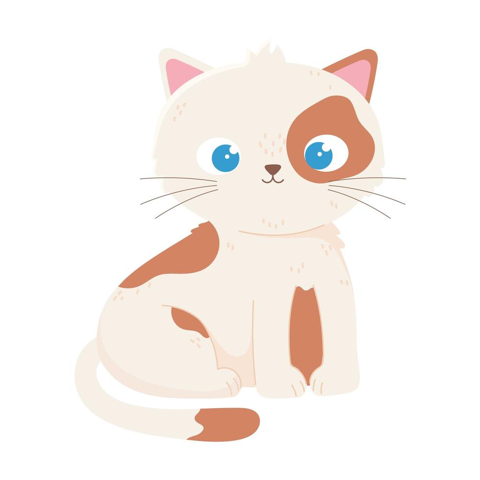 lindo gato con ojos azules icono de animal de dibujos animados fondo blanco vector