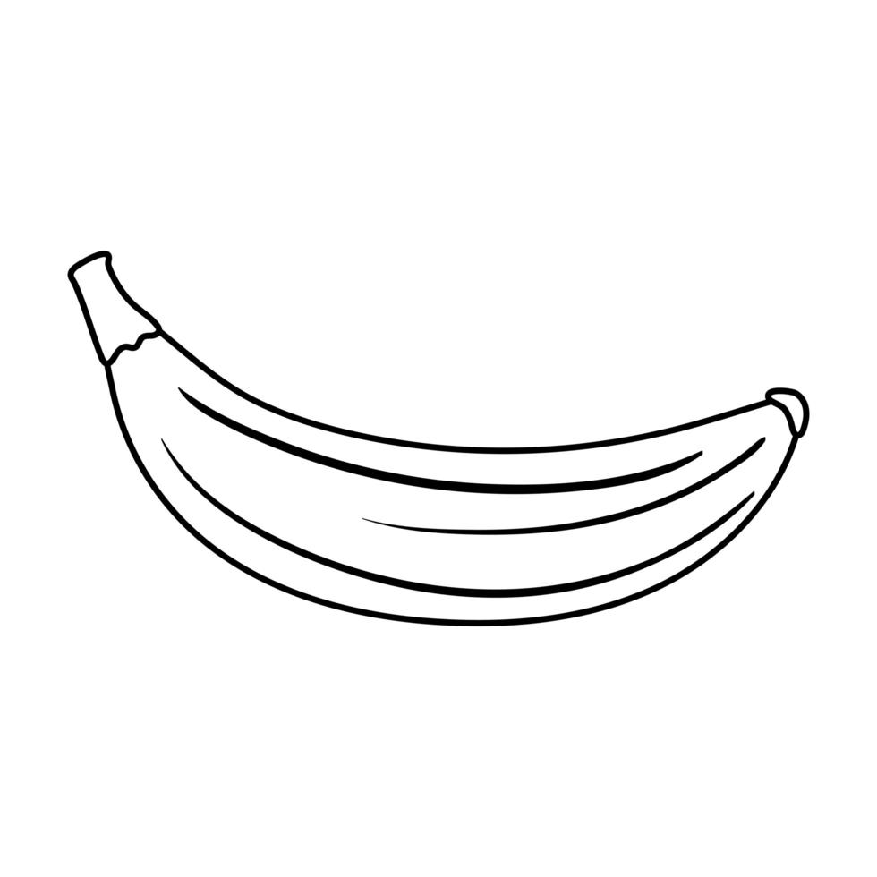 fruta de plátano apetitosa comida deliciosa, estilo de línea de icono vector