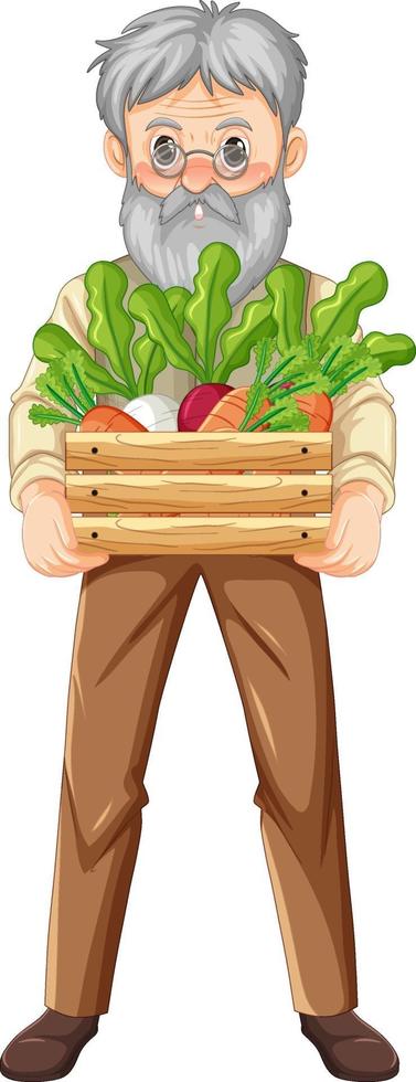 Old farmer man holding wooden crate of vegetable isolated vector