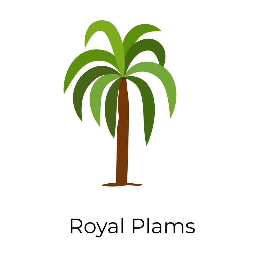 palmera real vector