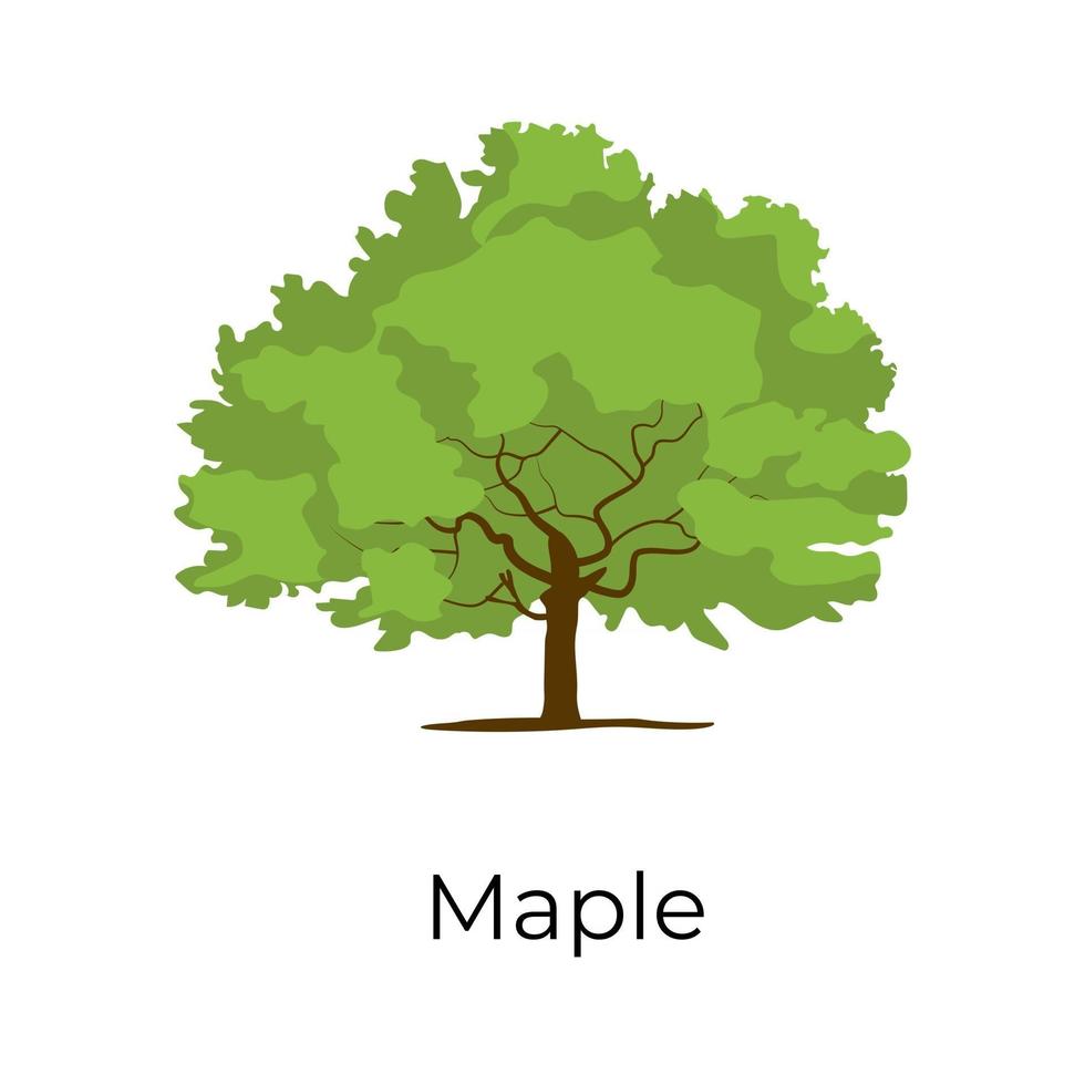 Maple Tree Design vector
