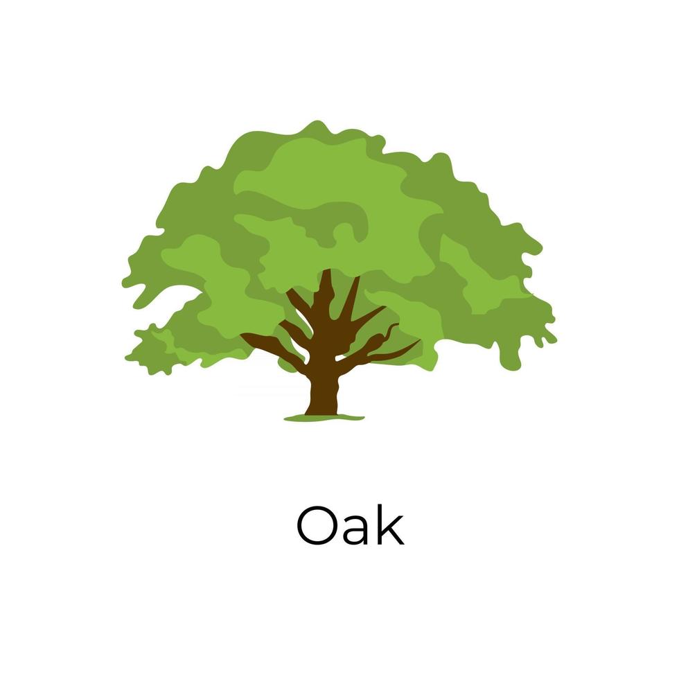 Oak Tree style vector