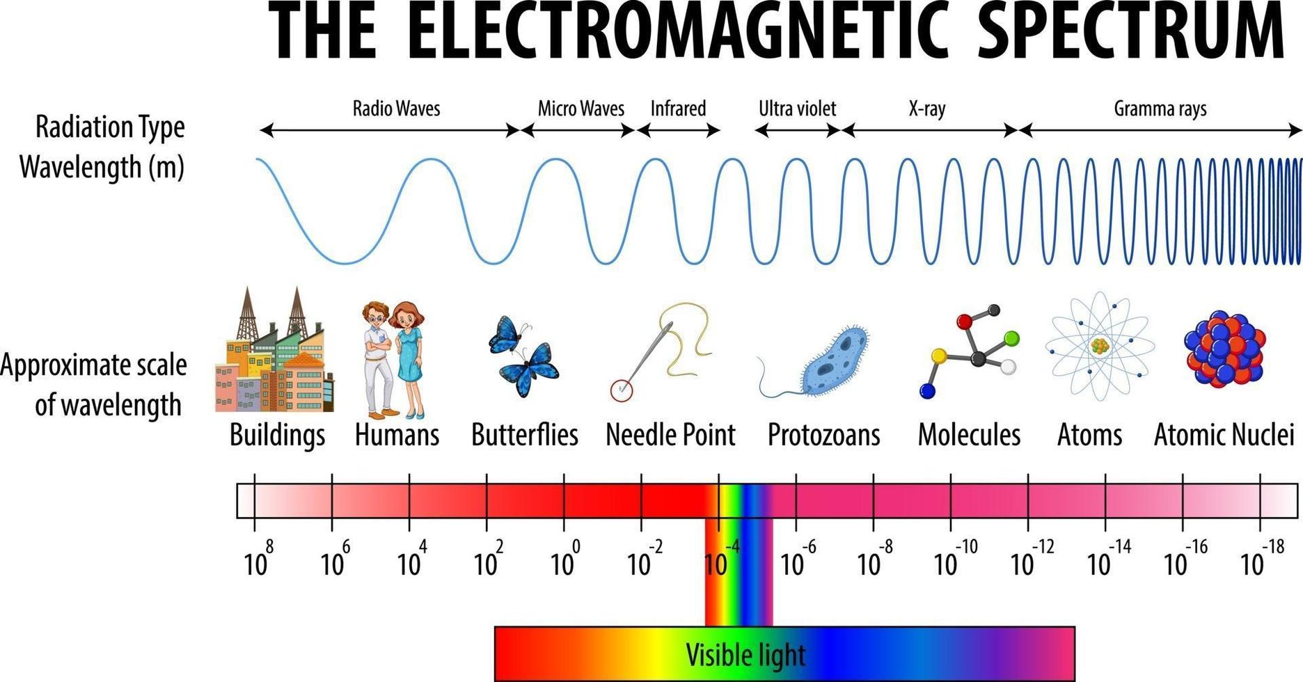 diagrama de espectro electromagnético de ciencia vector