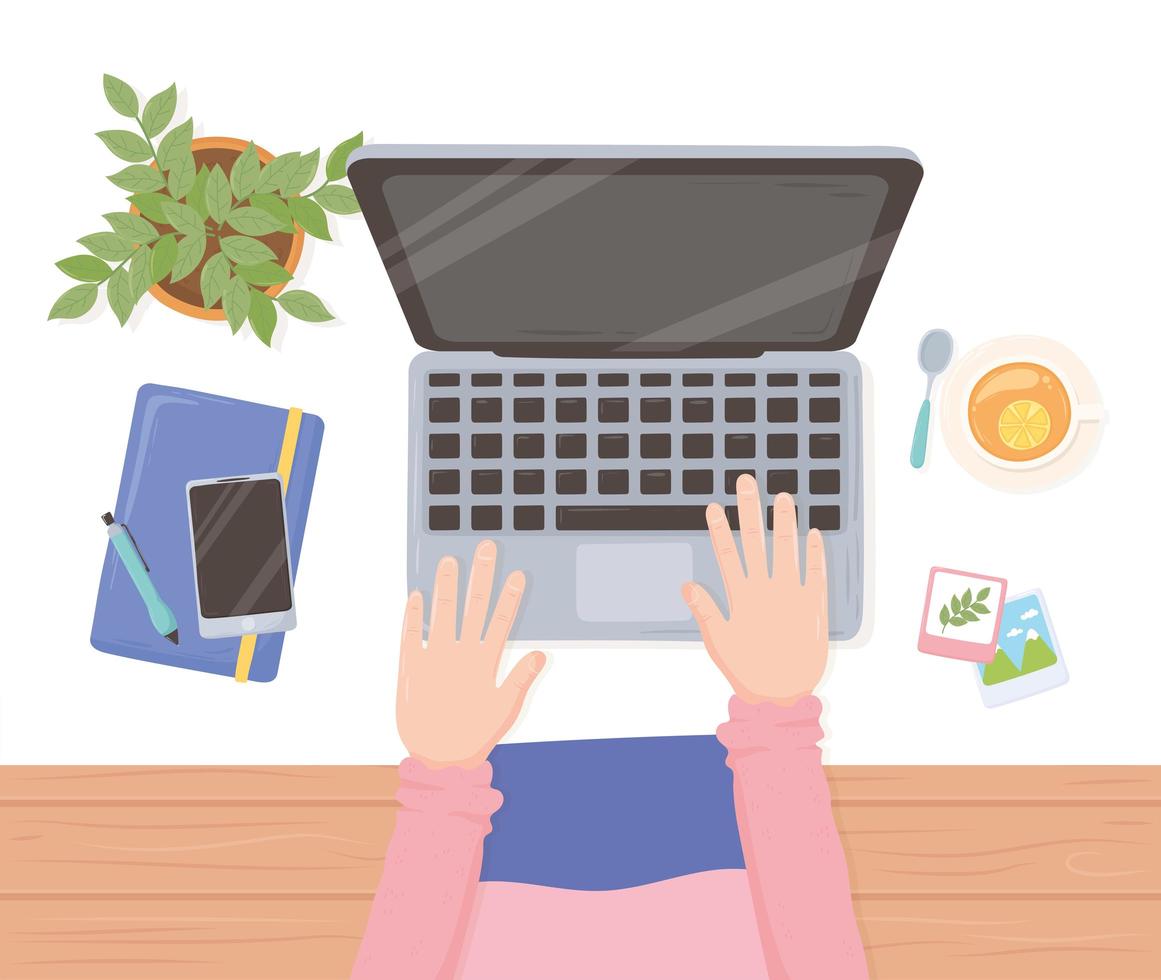hands typing in keyboard phone book tea cup and potted plant workspace office, top view design vector