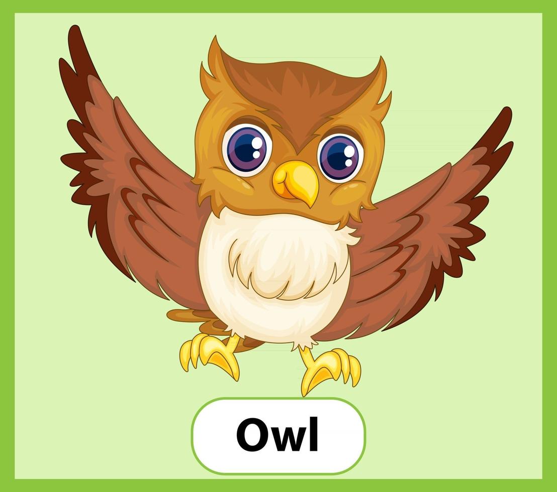 tarjeta educativa de palabras en inglés de búho 2687388 Vector en Vecteezy