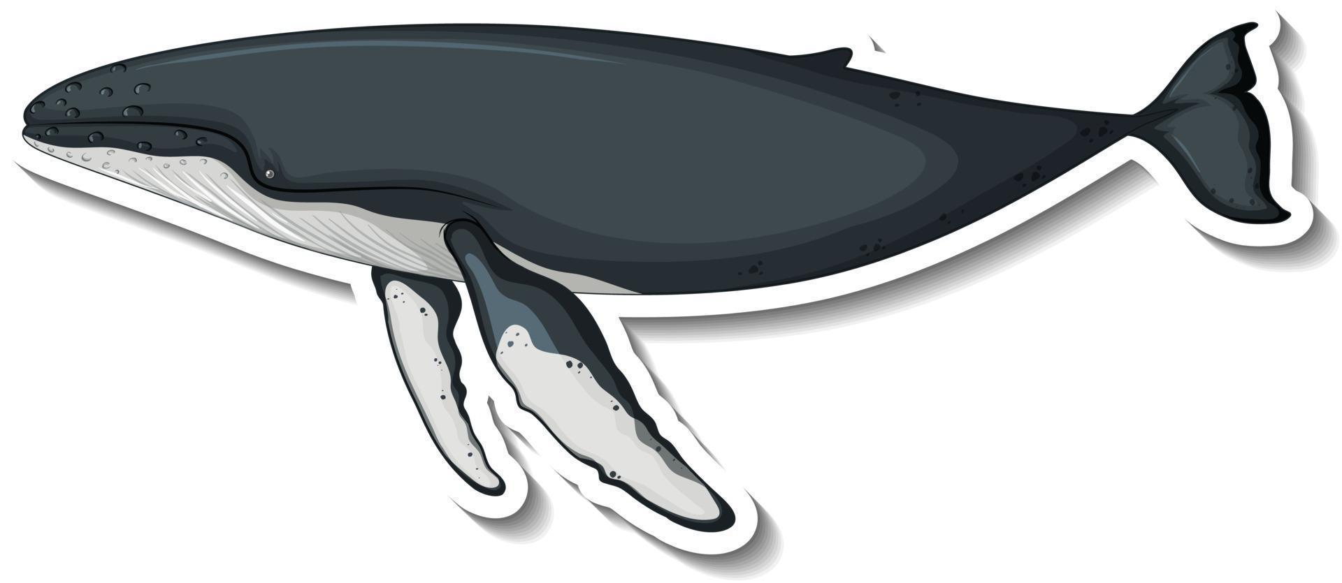 Sticker template with a whale cartoon character isolated vector