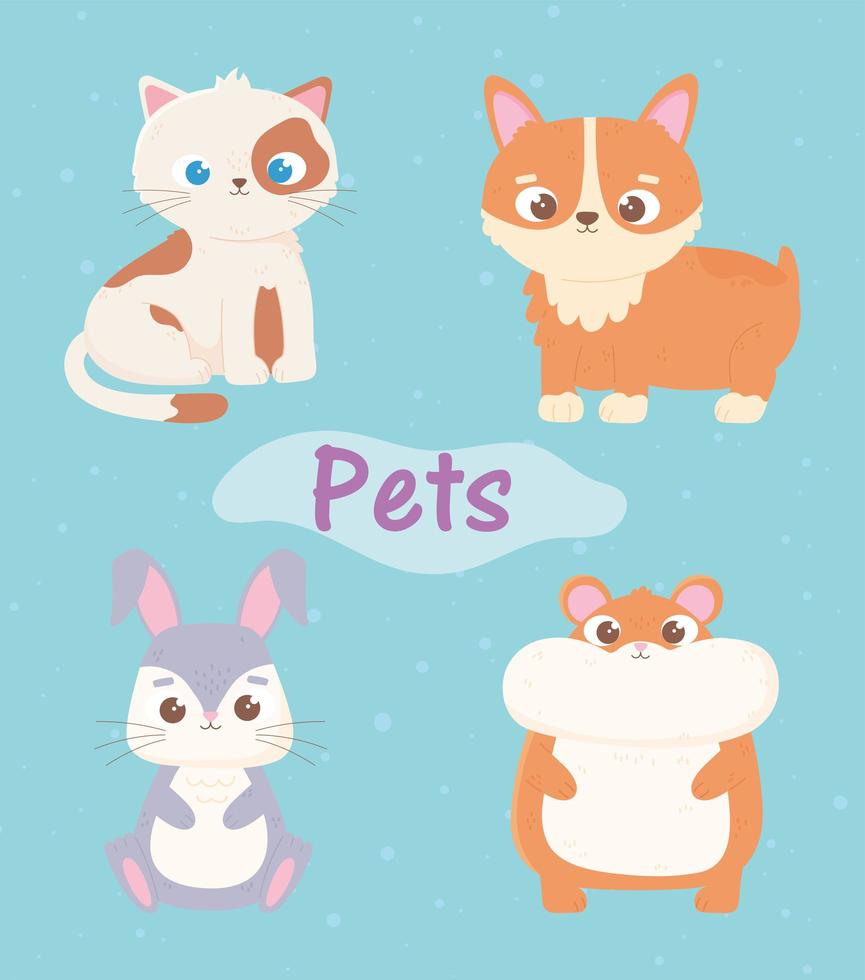 lindo gato perro hámster y conejo mascotas animales de dibujos animados vector