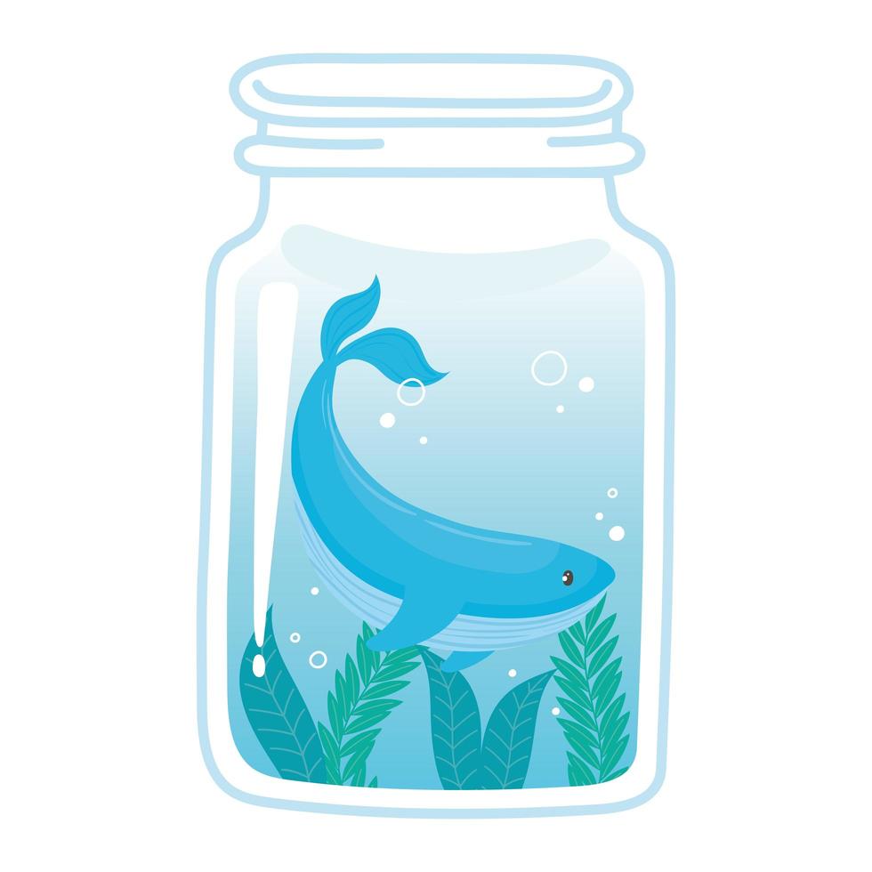 jar cute tiny whale water icon white background vector