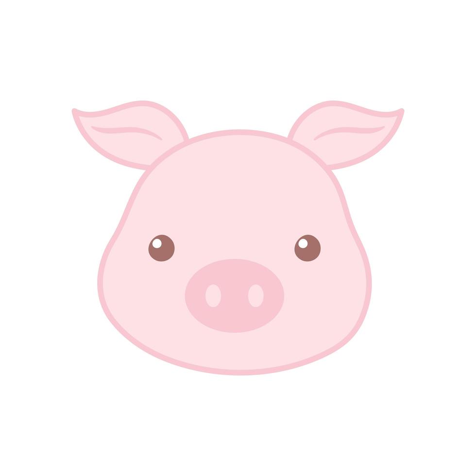 cute pig face cartoon animal color design vector