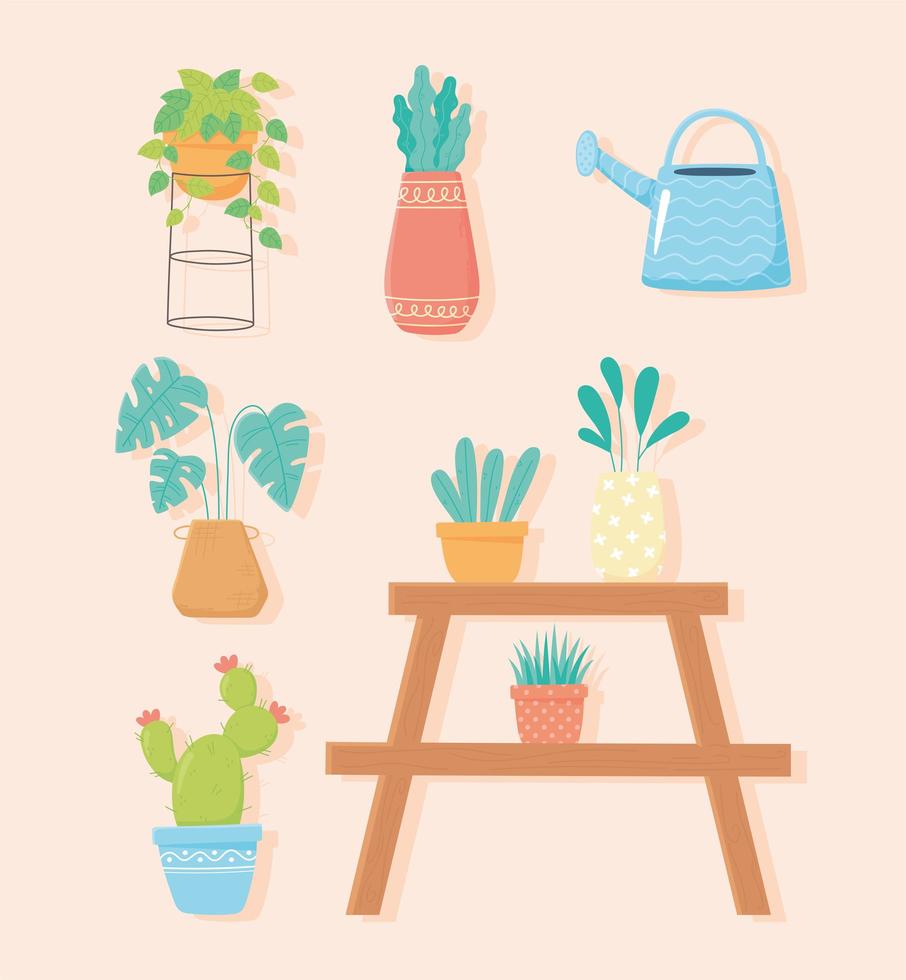 jardinería doméstica, colección de plantas en macetas que riegan cand y cactus. vector