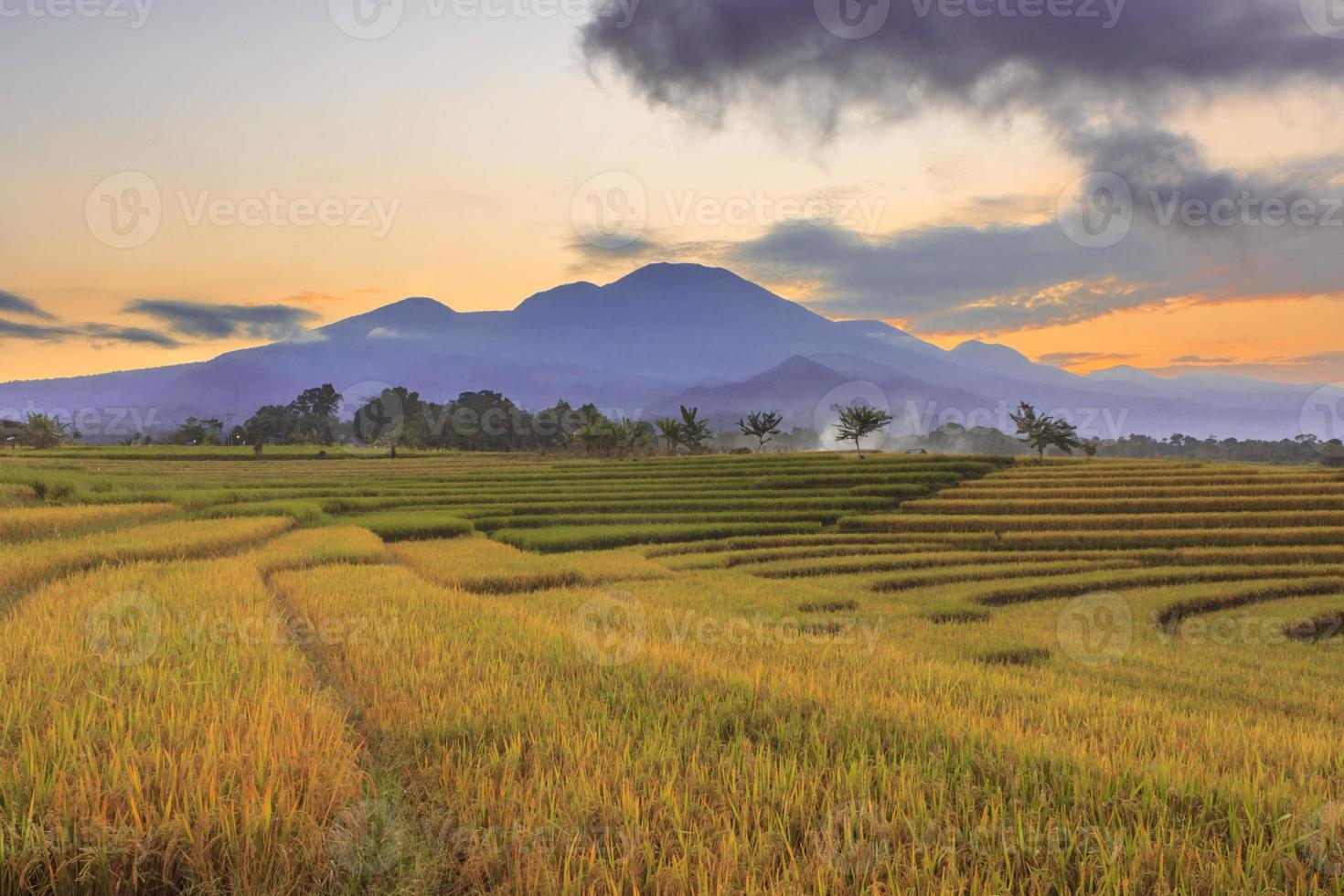 Vista del paisaje de Indonesia con las montañas y el cielo del amanecer en la mañana en un pequeño campo de arroz de la aldea en el norte de Bengkulu foto