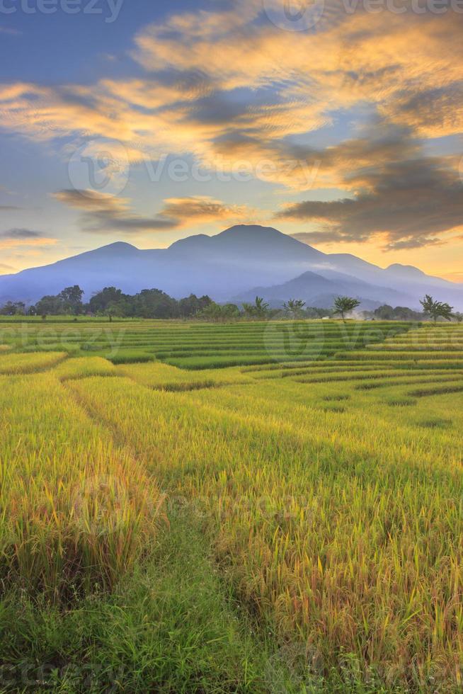 Indonesian landscape view with mountains and sunrise sky in the morning in a small village rice field photo