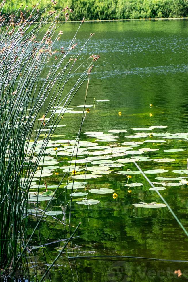 el lago ventina foto