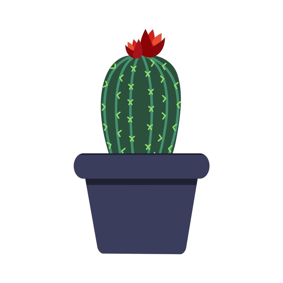 icono de cactus en la ilustración de vector de fondo blanco.