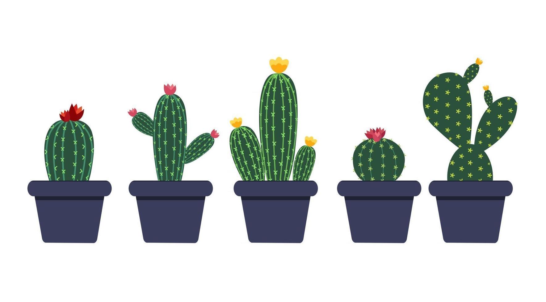 colección de iconos de cactus establece ilustración vectorial. vector