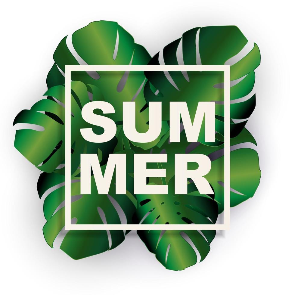 Tropical Natural Palm Summer Background. Vector Illustration