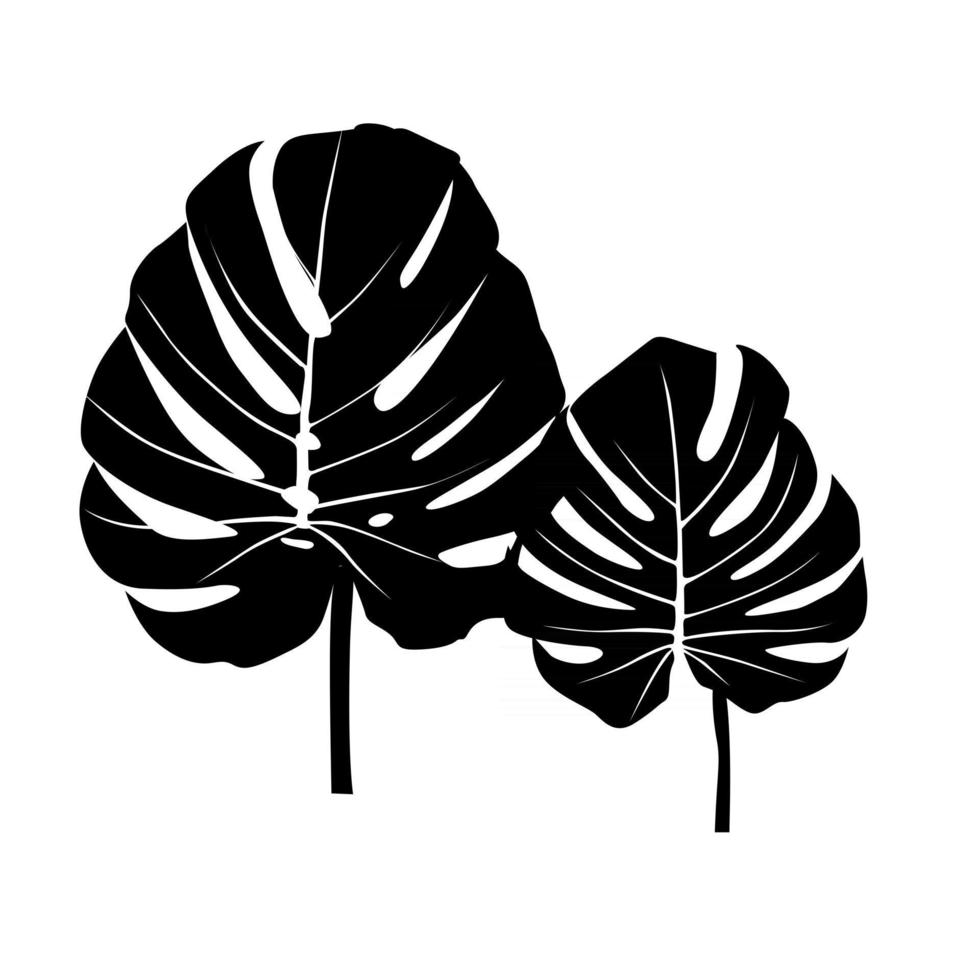 Monstera Palm leaves trendy silhouette. Vector  illustration