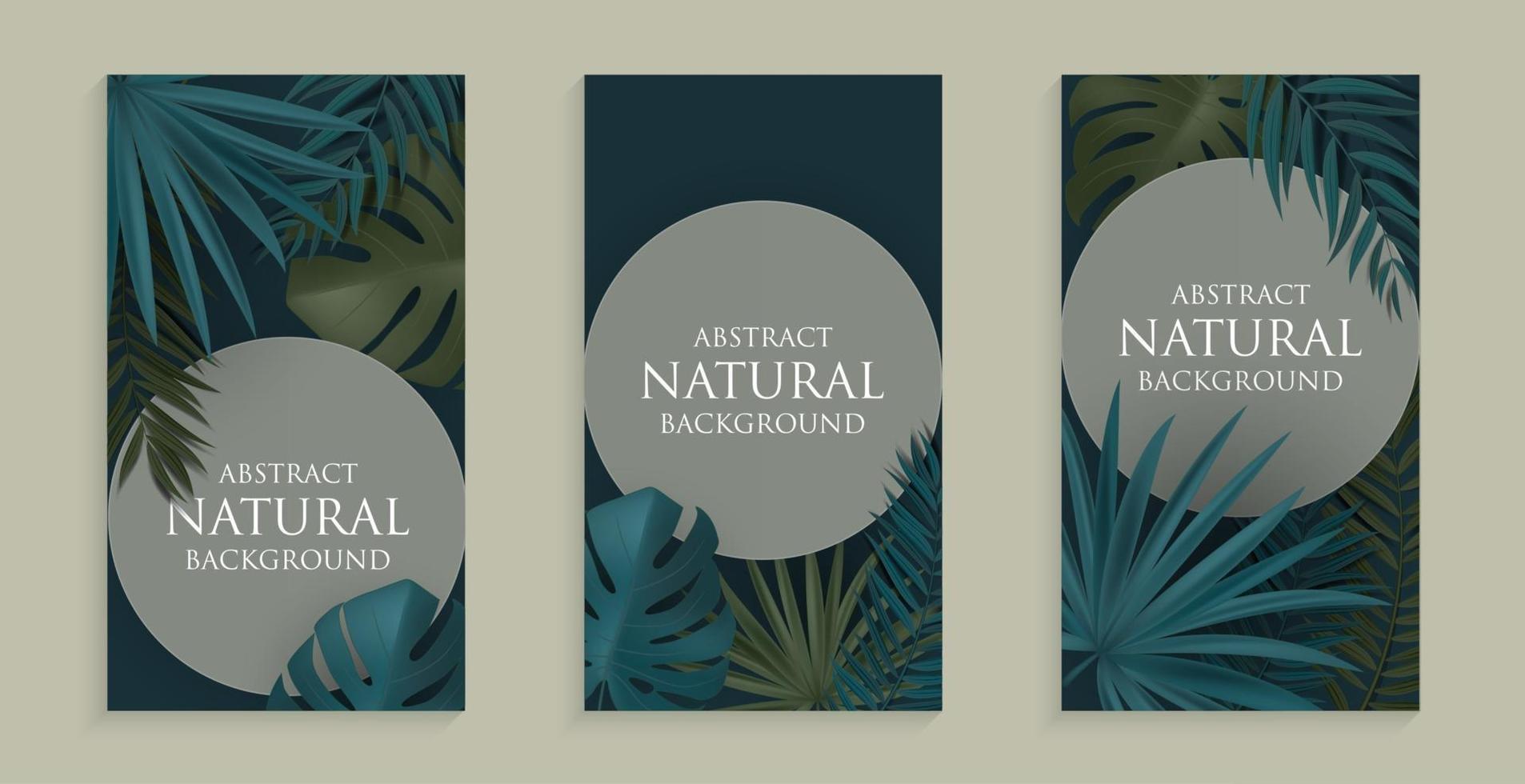 Abstract Natural Background with Tropical Palm and Monstera Leaves. Vector Illustration EPS10