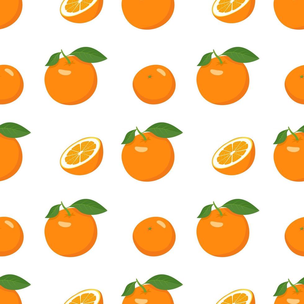 Seamless bright spring and summer pattern with oranges and slices on a white background. A set of citrus fruits for a healthy lifestyle vector